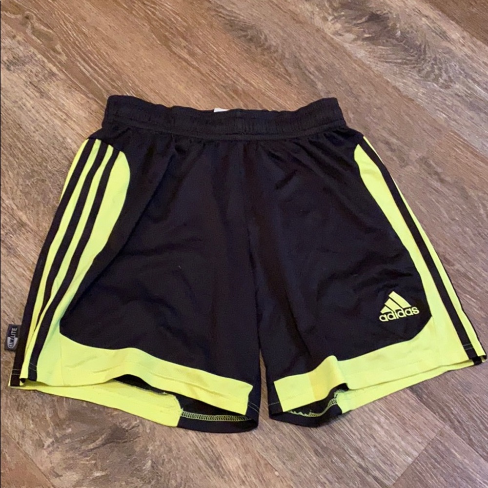Adidas climalite shorts